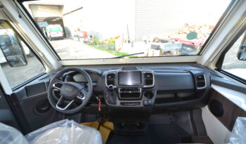 McLouis Nevis 879G AUTOMÁTICA   REF.N 53