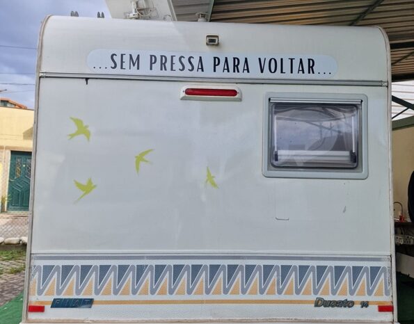 Ducato N/E U55 completo