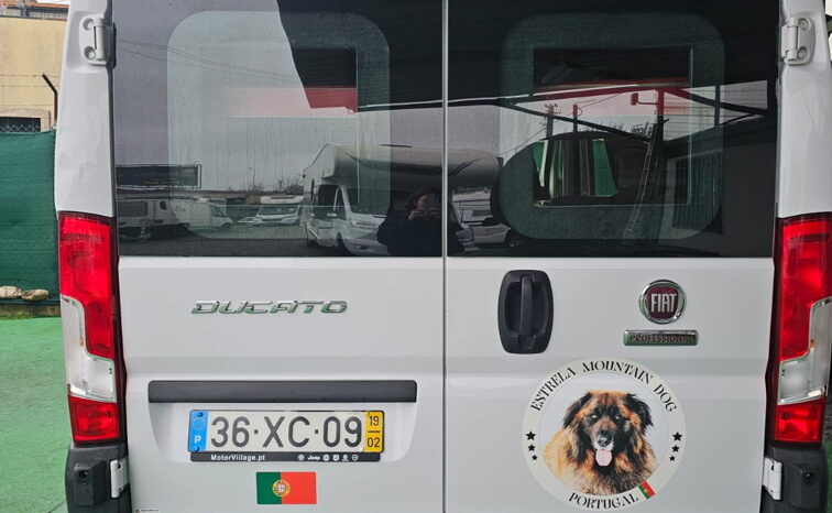 Fiat NE completo