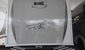 McLouis Yearling 81G N10
