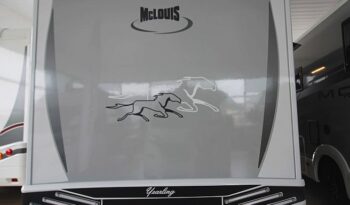 McLouis Yearling 81G N10
